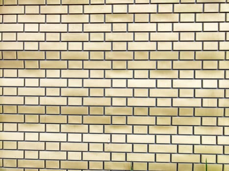 A smooth yellow brick wall features a uniform pattern with contrasting dark grout.