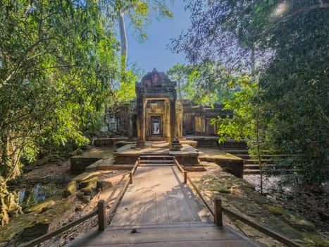 Ruin of ancient Ta Prohm Wat temple in Angkor, Cambodia