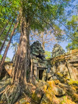 Ruin of ancient Ta Prohm Wat temple with awesome tree in Angkor, Cambodia