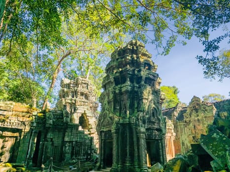 Ruin of ancient Ta Prohm Wat temple in Angkor, Cambodia