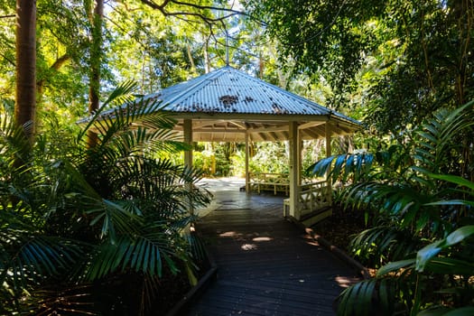 BRISBANE, AUSTRALIA - JULY 29 2023: City Botanic Gardens on a clear winter's day in Brisbane, Queensland, Australia