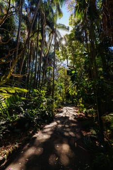 BRISBANE, AUSTRALIA - JULY 29 2023: City Botanic Gardens on a clear winter's day in Brisbane, Queensland, Australia
