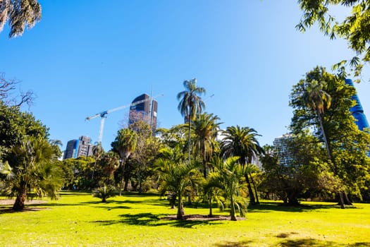 BRISBANE, AUSTRALIA - JULY 29 2023: City Botanic Gardens on a clear winter's day in Brisbane, Queensland, Australia