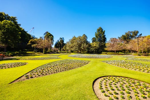 BRISBANE, AUSTRALIA - JULY 29 2023: City Botanic Gardens on a clear winter's day in Brisbane, Queensland, Australia