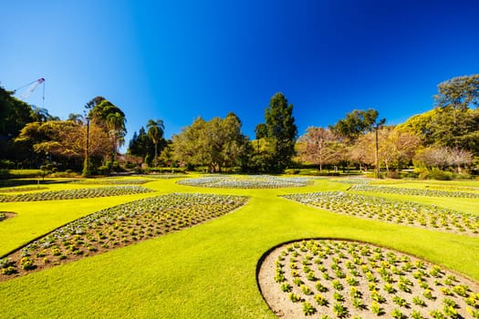 BRISBANE, AUSTRALIA - JULY 29 2023: City Botanic Gardens on a clear winter's day in Brisbane, Queensland, Australia