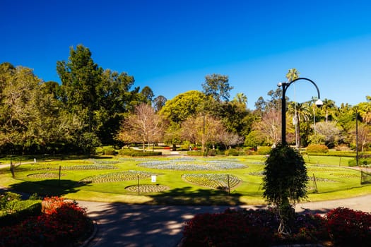 BRISBANE, AUSTRALIA - JULY 29 2023: City Botanic Gardens on a clear winter's day in Brisbane, Queensland, Australia