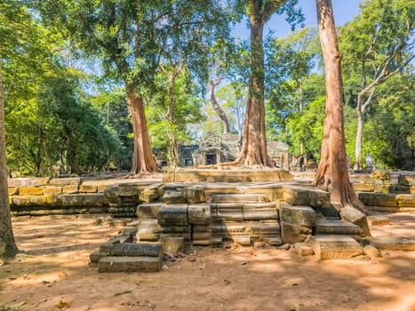 Ruin of ancient Ta Prohm Wat temple in Angkor, Cambodia