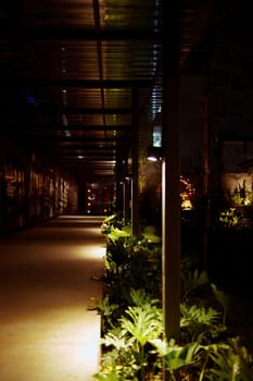 a walkway with plants and lights in the dark at cafe