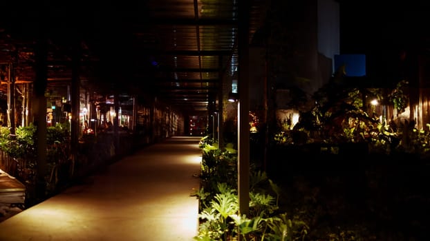 a walkway with plants and lights in the dark at cafe