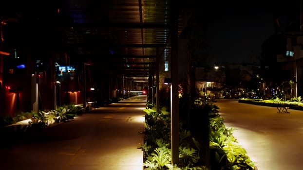 a walkway with plants and lights in the dark at cafe