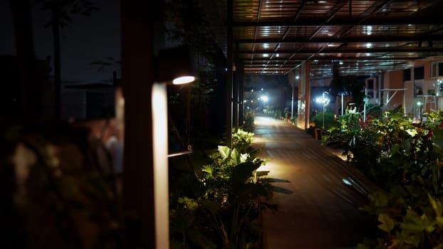 a walkway with plants and lights in the dark at cafe