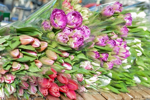 Many bouquets of multicolor tulips flowers at the market.