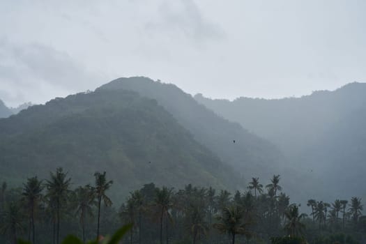 A tropical rainstorm in a rice field with cascading mountains and palm trees