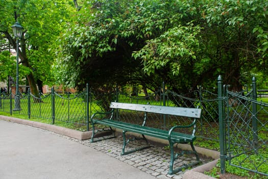 A wooden bench in the park in the pre-sunset sun