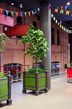 A lively indoor space with lush plants and colorful bunting, perfect for hosting events and gatherings