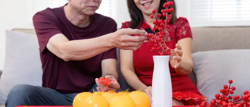 An elderly Chinese couple joyfully prepares their home for the Chinese New Year showcasing love and tradition.
