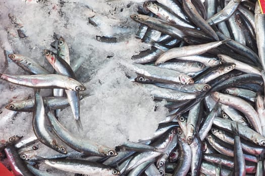 A stunning display of fresh fish on ice, showcasing vibrant seafood options in a market