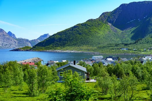 Amazing nature view with fjord and mountains. Beautiful summer Norway landscape. Artistic picture. Beauty world. The feeling of complete freedom