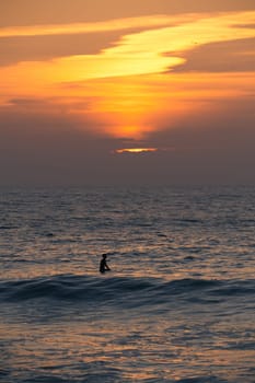 Surfer silhouette in the Atlantic Ocean from Furadouro Beach at sunset and golden hour, Ovar - Portugal.