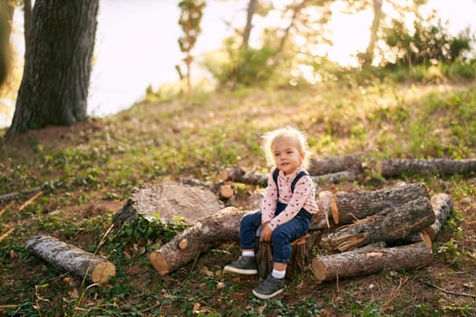 Little girl with a toy sits on a log in a sunny forest. High quality photo