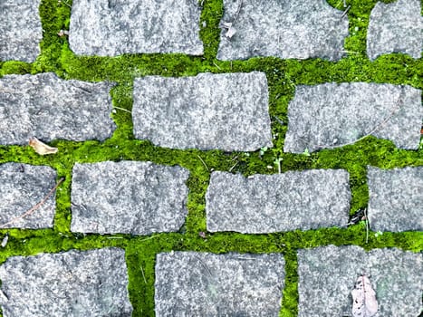 Moss covered cobblestone pathway with natural green texture.