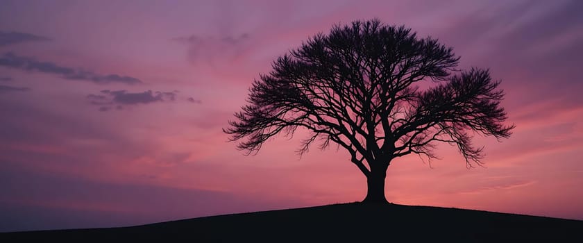 Silhouetted against a twilight sky, a solitary tree stands atop a hill, its bare branches reaching like skeletal fingers. The fading hues of pink and purple evoke a sense of quiet melancholy and introspection as day surrenders to night.
