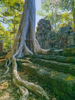 Ruin of ancient Ta Nei Wat temple in Angkor, Cambodia