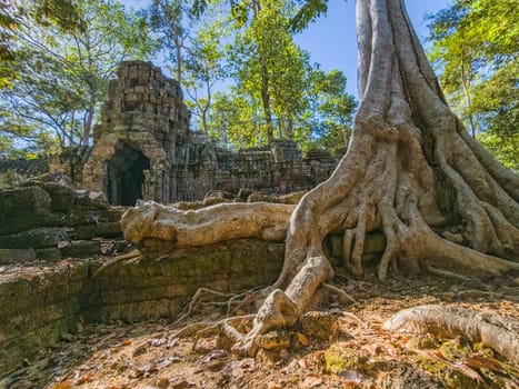 Ruin of ancient Ta Nei Wat temple in Angkor, Cambodia