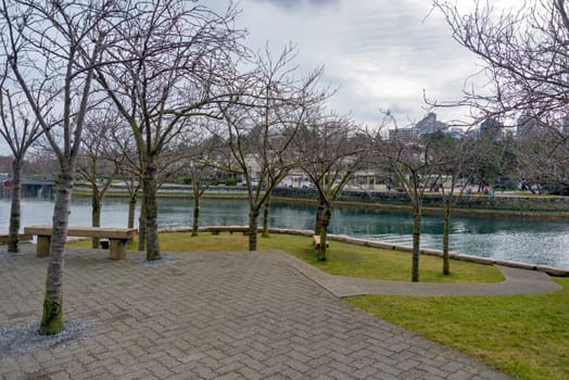 Ron Basford park on Granville island on winter day in Vancouver, Canada.