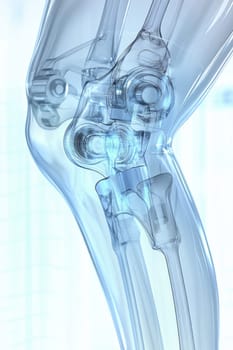 Transparent knee joint illustrating bones and ligaments, providing insights into human anatomy