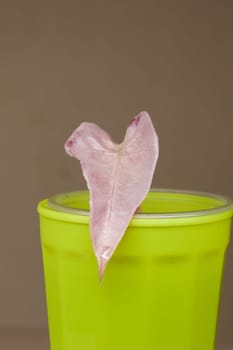 A vibrant green cup, elegantly topped with a heartshaped leaf, making it perfect for naturethemed design projects