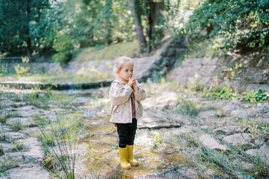 Little girl stands on stones in the middle of a stream in the park. High quality photo