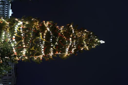 A beautiful Christmas tree decorated with lights and ornaments, glowing in the citys enchanting night sky