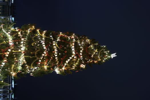 A stunningly beautifully lit Christmas tree is shining brightly against the enchanting night sky above