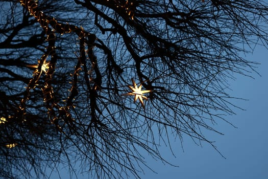 Twinkling starshaped lights beautifully adorn the branches of trees, set against a tranquil evening backdrop