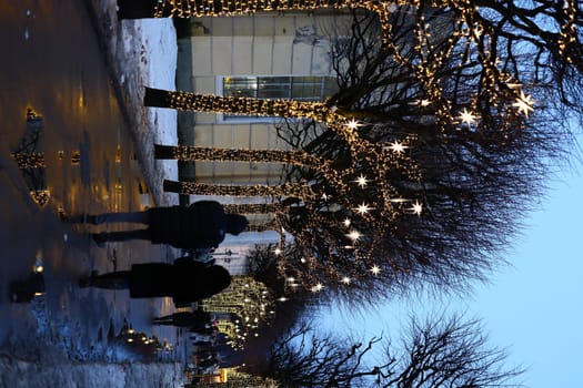 A tranquil and peaceful winter evening stroll beneath the dazzling and festive lights in a scenic park area