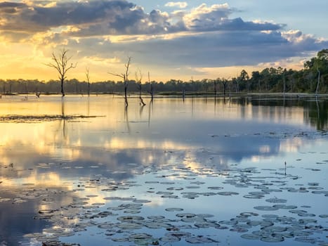 Beautiful water swamp Jayatataka Baray by sunset in Angkor, Cambodia