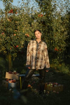 Stylish girl in black clothes stands near the harvested apples in a sunny fall orchard.