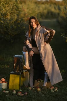 Stylish girl in gray raincoat stands near picked apples in sunny fall orchard..