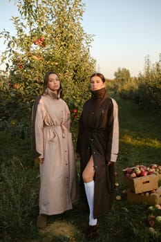 Two stylish girls in raincoats in an apple orchard. Fashion show in an orchard.
