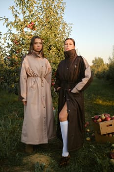 Two stylish girls in raincoats in an apple orchard. Fashion show in an orchard.