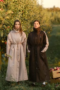 Two stylish girls in raincoats in an apple orchard. Fashion show in an orchard.