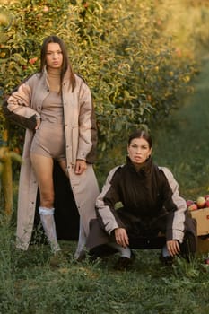 Two stylish girls in raincoats in an apple orchard. Fashion show in an orchard.