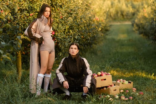 Two stylish girls in raincoats in an apple orchard. Fashion show in an orchard.