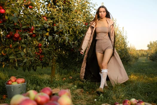 Stylish girl in gray raincoat walking in apple tree sunny fall orchard.