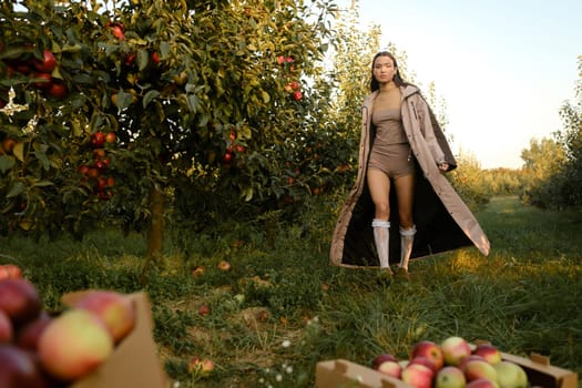 Stylish girl in gray raincoat walking in apple tree sunny fall orchard.