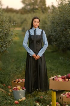 Portrait of a beautiful Asian woman, stylishly dressed, with apples in the garden. A girl stands near the collected red apples in nature.
