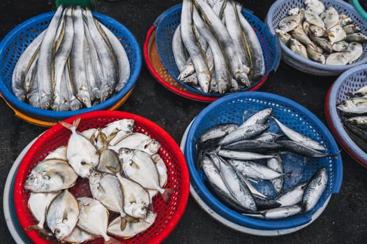 Variety of fresh fish at the fish market in Nha Trang, Vietnam