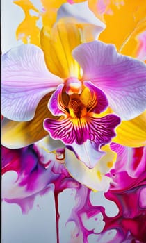 Vibrant yellow and purple orchids with lush green leaves, on deep starry backdrop, offering beautiful floral composition ideal for enhancing elegance in design projects