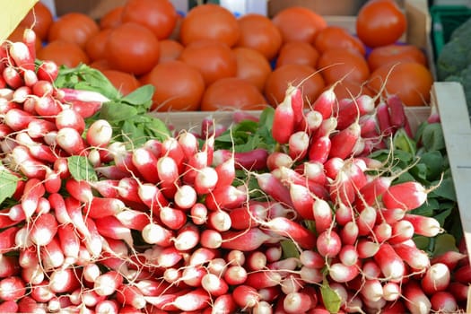 Raw radish in a box on the french market